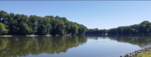 Image of the Rock River with a treeline in the background reflecting off of the river.